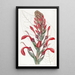 The Toxic Plant Tupa - Sydenham Edwards — framed artwork on a wall