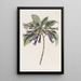 Iochrome tubular - Sydenham Edwards — framed artwork on a wall