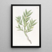 Dendrobium with two edges - Sydenham Edwards — framed artwork on a wall