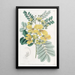 Cassia à deux fleurs - Sydenham Edwards — ingelijst kunstwerk aan de muur