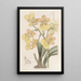 Oncidium à deux verrues - Sydenham Edwards — ingelijst kunstwerk aan de muur