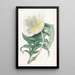 Onagre blanche dressée - Sydenham Edwards — framed artwork on a wall