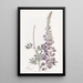 Lupin with White Leaves - Sydenham Edwards — framed artwork on a wall