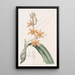 Yolkofegg Epidendrum - Sydenham Edwards — framed artwork on a wall