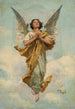 Angel - Tadeusz Popiel — artwork view