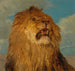 Leeuwenhoofd omhoog - Rosa Bonheur — weergave van het kunstwerk