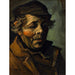 Reproductie van het schilderij Hoofd van boer - Vincent Van Gogh