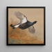 Grouse in Flight - Archibald Thorburn — framed artwork on a wall