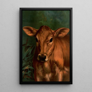 Thaddeus Welch - Calfs Head.webp