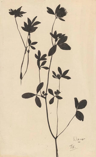 Theo Nieuwenhuis - Klaver.webp