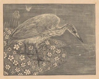 Theo van Hoytema - Aankondiging met reiger voor serie Dierstudies.webp
