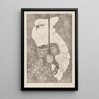 Theo van Hoytema - Witte kaketoe.webp