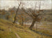 De bloei van de druif - Theodore Clement Steele — weergave van het kunstwerk