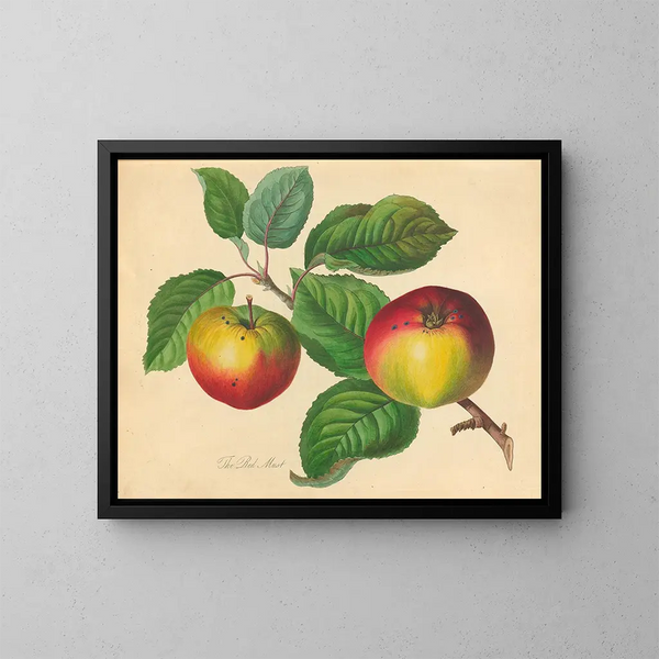 Rood Must - Thomas Andrew Knight — ingelijst kunstwerk aan de muur