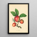 Woodcock Painting - Thomas Andrew Knight — framed artwork on a wall