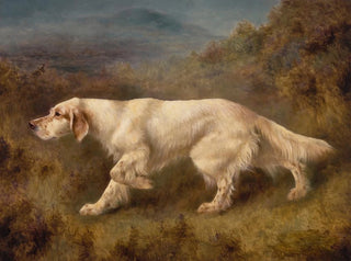 Thomas Blinks - Mallwyd Ned.webp