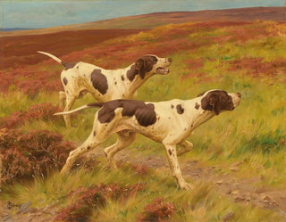 Thomas Blinks - Two pointers in the heather.webp