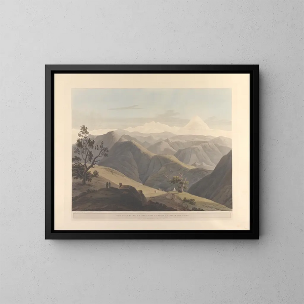 Oosterse scène Pl25 - Thomas Daniell — ingelijst kunstwerk aan de muur