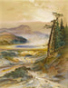 Geyser Excelsior Parc de Yellowstone - Thomas Moran — weergave van het kunstwerk