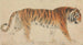 A Tiger - Thomas Stothard — artwork view