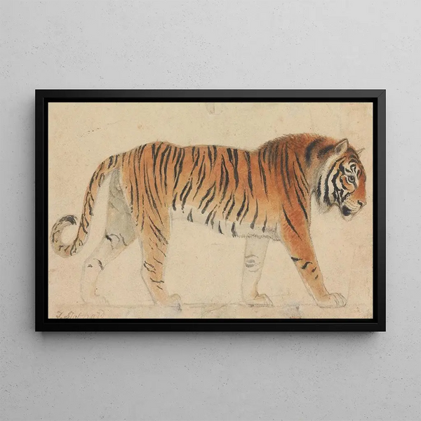 Thomas Stothard - A Tiger.webp