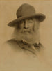 Walt Whitman - Thomas Wilmer Dewing — weergave van het kunstwerk