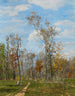 At the Krieau Prater Festival in Spring - Tina Blau — artwork view