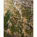 Landschapsfotoprint - Groene Slangen
