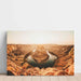 Fotoprint van het Grote Westen van Amerika - Horseshoe Bend