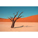 Landschapsfotografie afdruk - L'essence du désert africain immortalisée