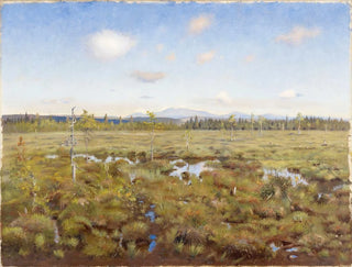 Torsten Wasastjerna - Landscape from Lapland.webp
