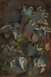 Lichen - Torsten Wasastjerna — artwork view