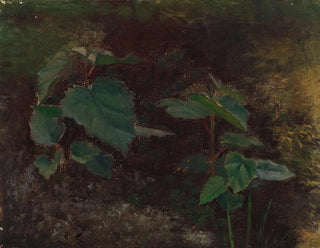 Torsten Wasastjerna - Tree Plants sketch for the painting Fairy Tale Princess.webp