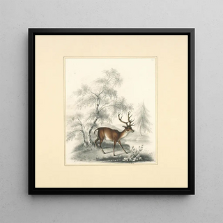 Un cerf - Henry Thomas Alken