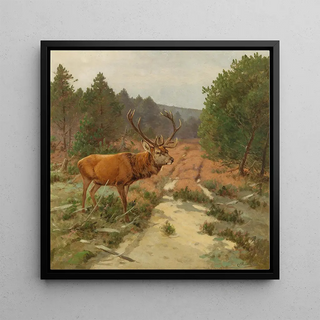 Un cerf sur la clairière - Christoffer Drathmann