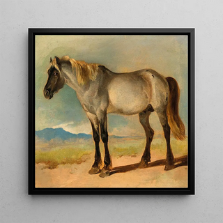 Un cheval blanc avec une tête noire - Friedrich Gauermann