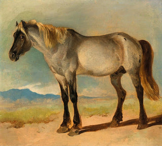 Un cheval blanc avec une tête noire - Friedrich Gauermann