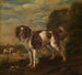 An English Springer Spaniel - Paulus Potter — artwork view