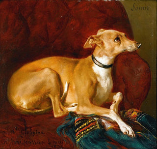 Un lévrier reposant sur une chaise - Jacques-Raymond Brascassat