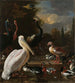 a pelican and other birds near a pond known as The Floating Feather - Melchior d'Hondecoeter — artwork view