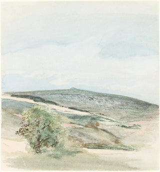 Une Bruyère dans le Sussex - William Collins