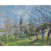 Reproductie van het schilderij Boomgaard in de lente - Alfred Sisley