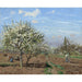 Reproduction of the painting Flower Orchard Painting, Louveciennes - Camille Pissarro