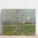 Reproductie van het schilderij Van bloesemboomgaard (Prunus) - Vincent van Gogh