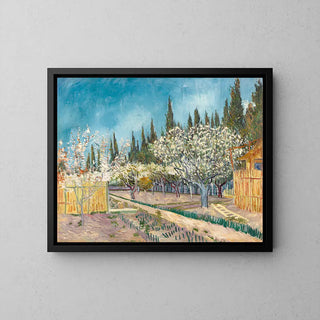 Orchard bordered by cypresses - Vincent Van Gogh