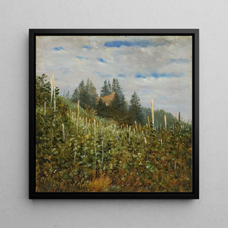 Vignoble à Pillnitz au début de l'été - Carl Gustav Carus