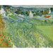 Reproductie van het schilderij wijngaarden van Auvers - Vincent van Gogh