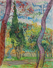 Parc de l'hôpital Saint-Paul - Vincent van Gogh — weergave van het kunstwerk