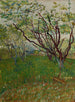 De boomgaard in bloei - Vincent van Gogh — weergave van het kunstwerk