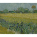 Reproduction of the painting View of Arles with irises - Vincent van Gogh